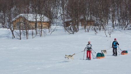 Schneeschuh- & Winterwandern in Schweden im Winter 2022/23 online
